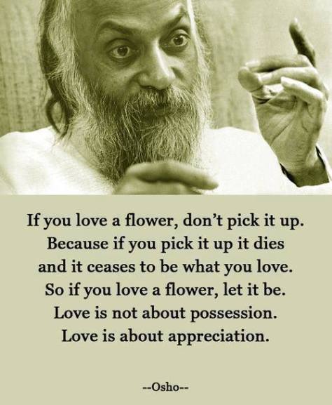 If you love a flower, don't pick it.